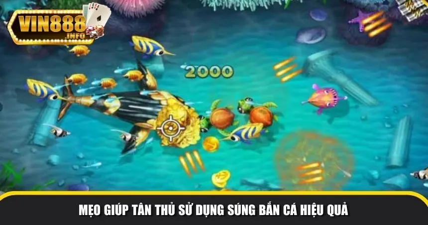 Mẹo giúp tân thủ sử dụng súng bắn cá hiệu quả